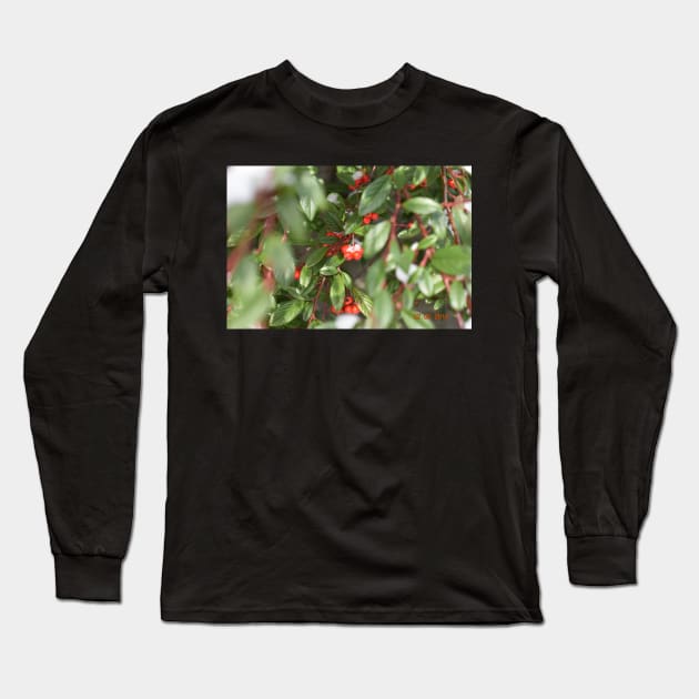 Berries Long Sleeve T-Shirt by rilsshopp